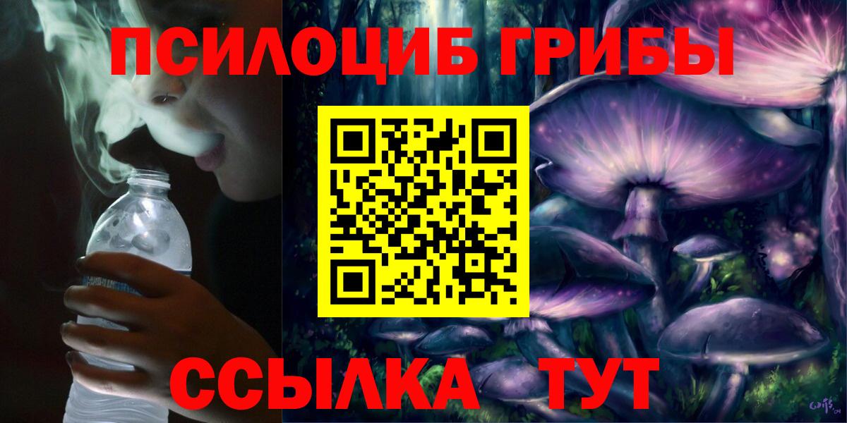Галлюциногенные грибы GOLDEN TEACHER  Псилоцибиновые грибы Psilocybine cubensis  Вход с VPN  Йошкар-Ола 